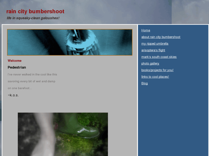 www.elusivedragonfly.com