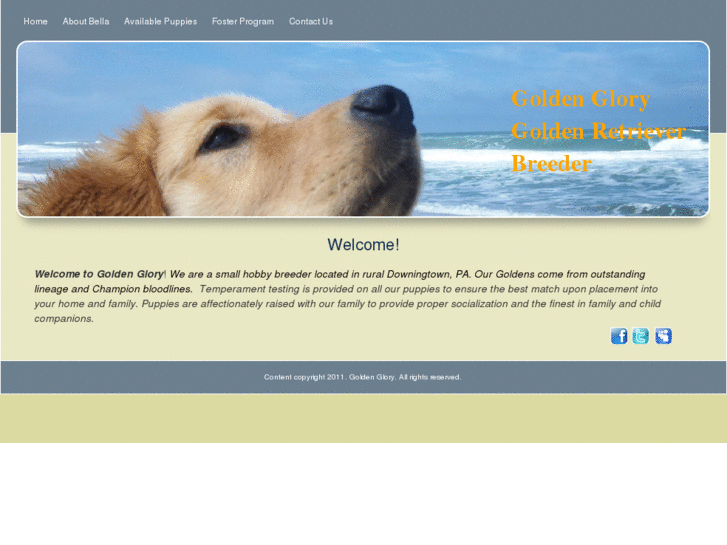 www.goldenglorypups.com