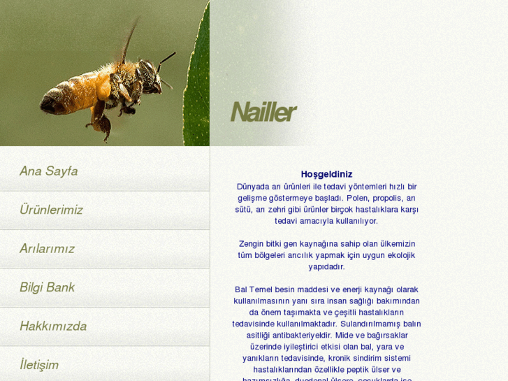 www.nailler.com