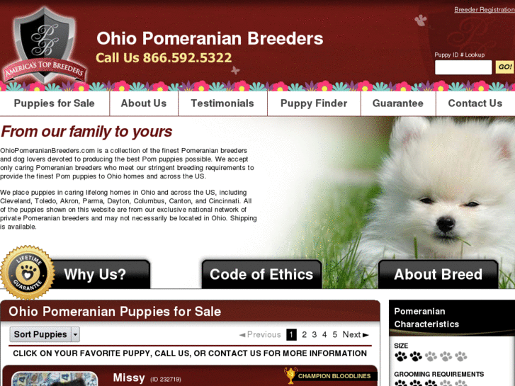 www.ohiopomeranianbreeders.com