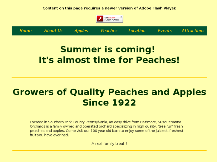 www.peachesandapples.com