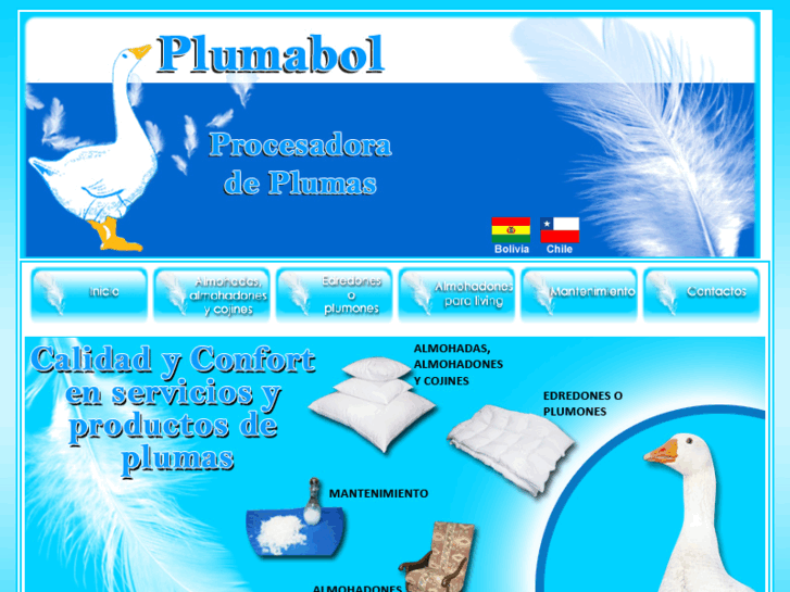 www.plumabol.com