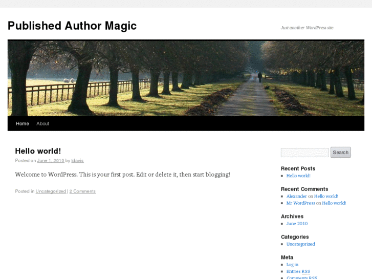 www.publishedauthormagic.com