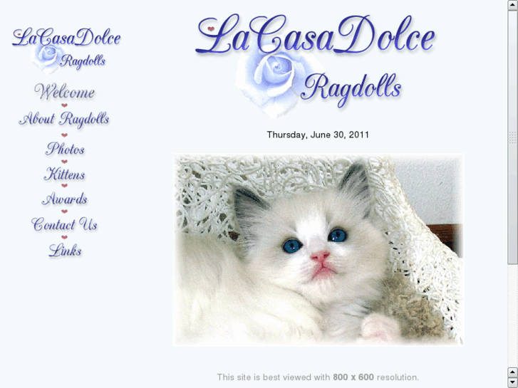 www.ragdollcat.biz