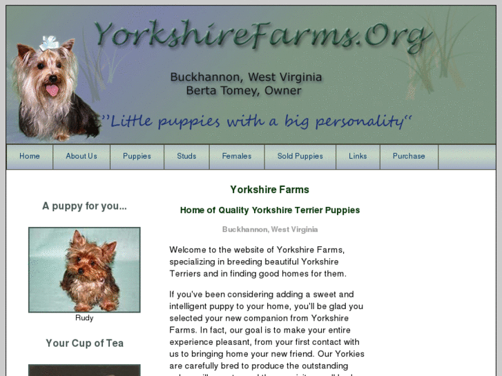 www.yorkshirefarms.org