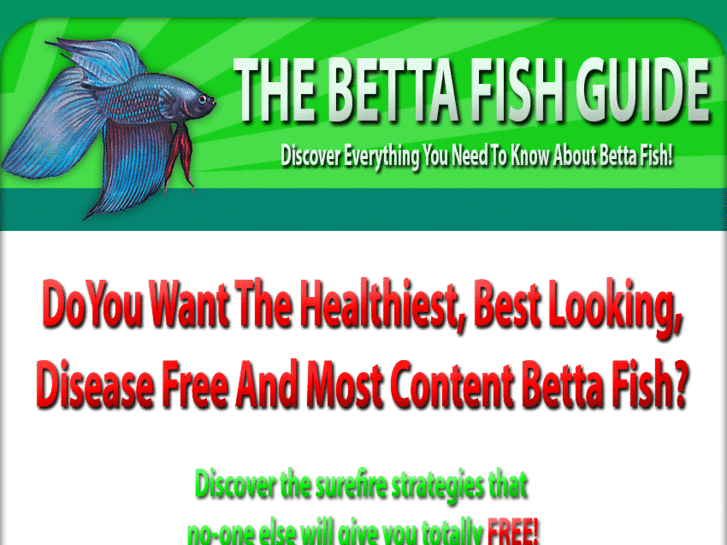 www.betta-fish-guide.com