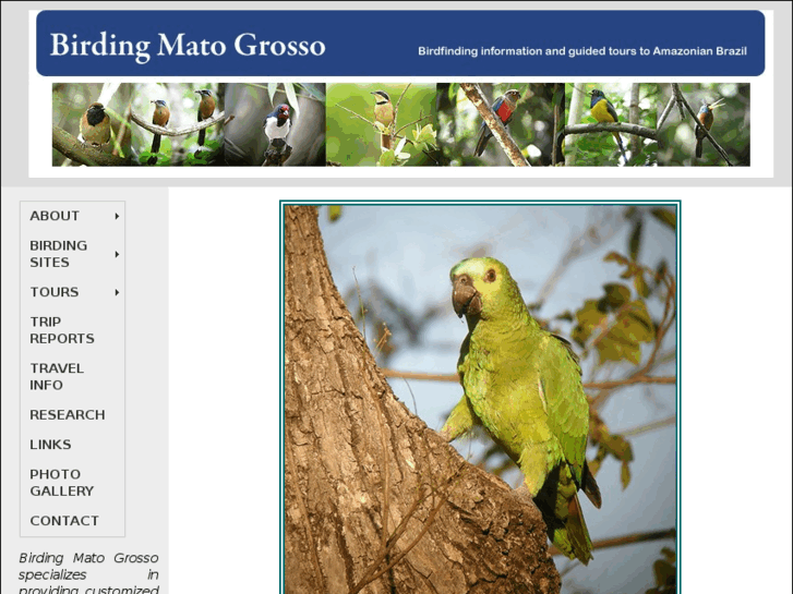 www.birdingmatogrosso.com