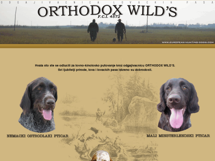 www.european-hunting-dogs.com