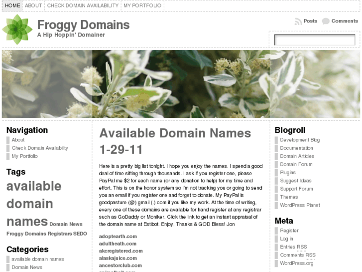 www.froggydomains.com