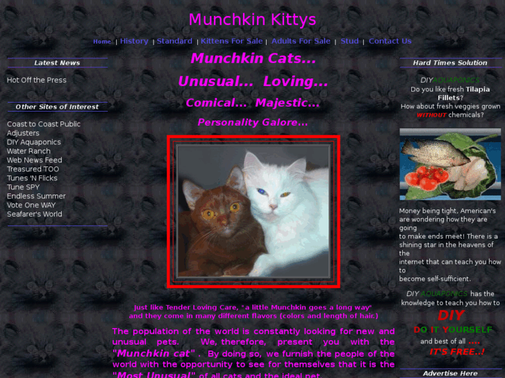 www.munchkinkittys.com