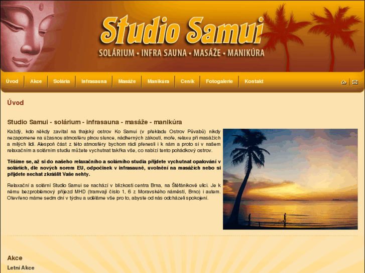 www.saunabrno.com