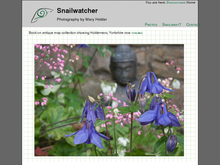 www.snailwatcher.com