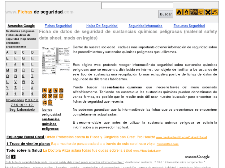 www.fichasdeseguridad.com