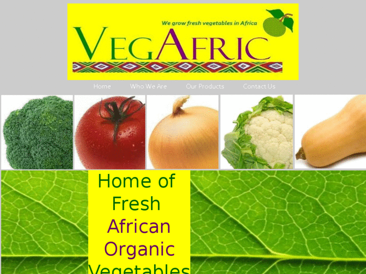 www.vegafric.com