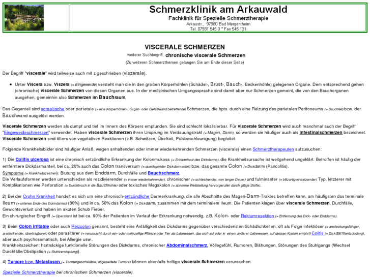 www.viscerale-schmerzen.de