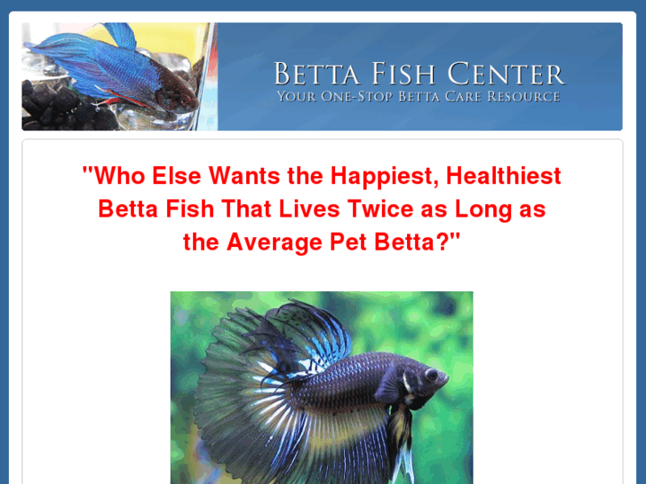 www.bettafishcenter.com