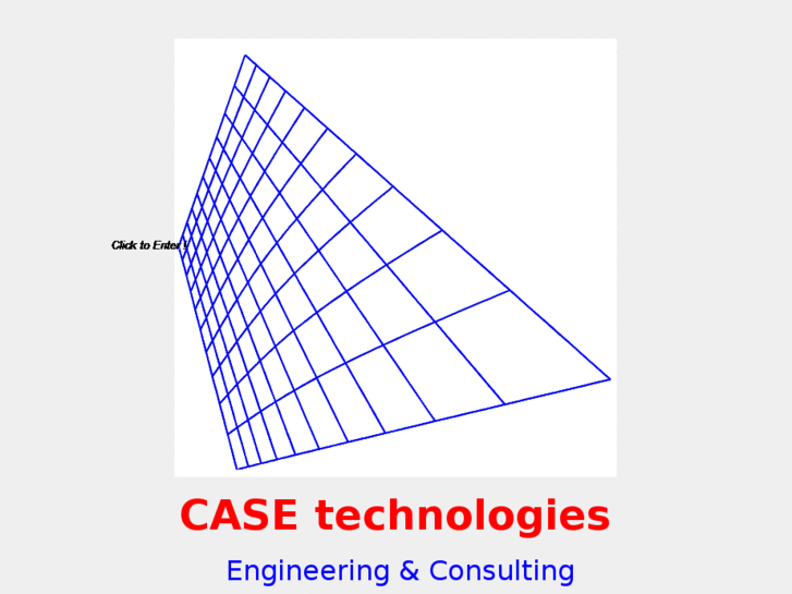 www.case-consulting.net