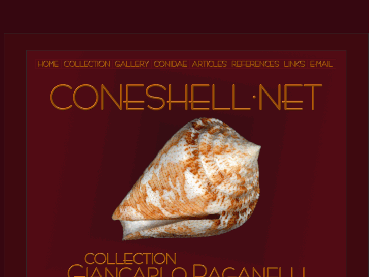 www.coneshell.net