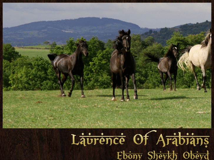 www.laurenceofarabians.com