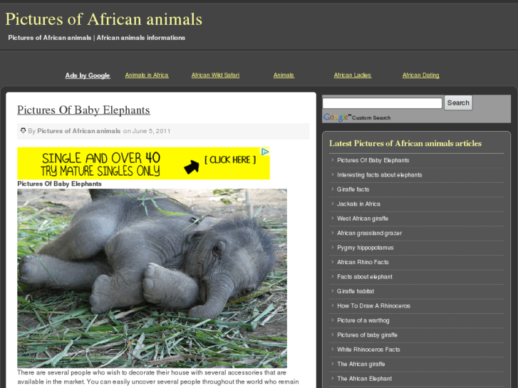 www.pictures-of-african-animals.info