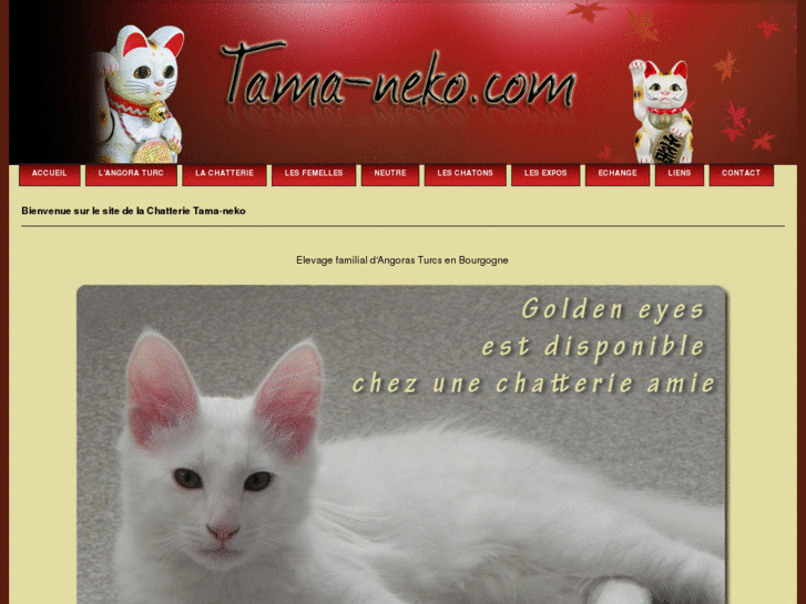 www.tama-neko.com