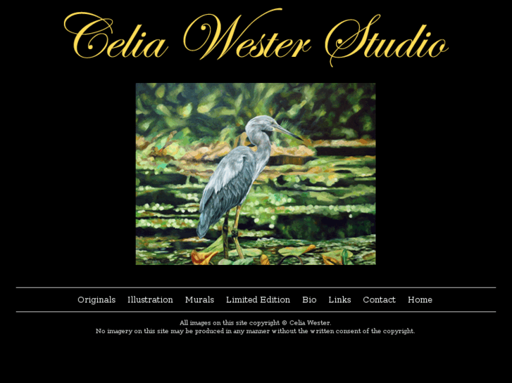 www.cwesterstudio.com