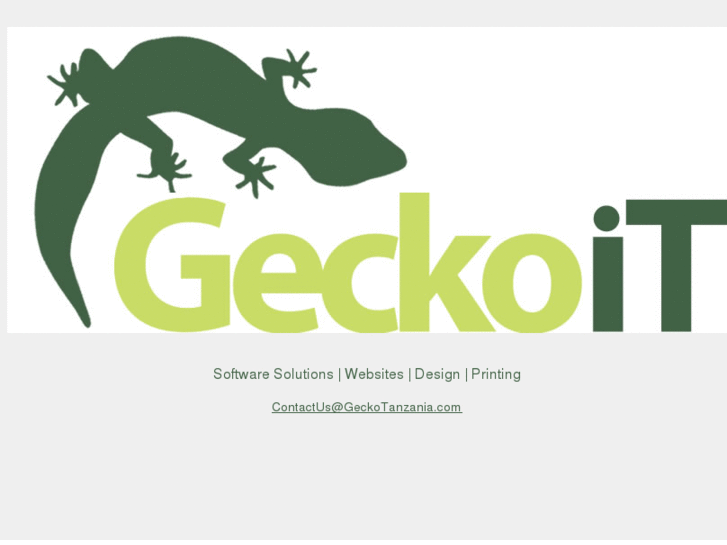 www.geckotanzania.com