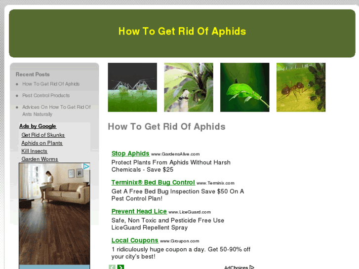 www.howtogetridofaphids.com