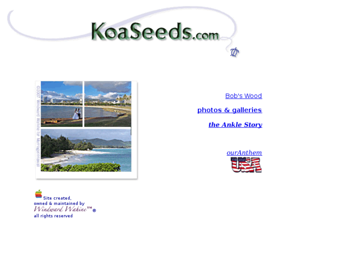 www.koaseeds.com