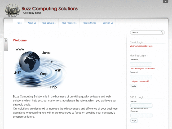 www.buzzcomputingsolutions.com