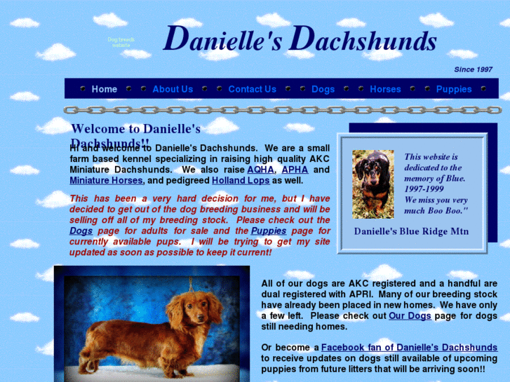 www.daniellesdachshunds.com