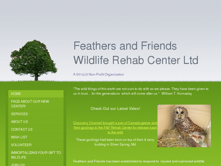 www.feathersandfriends.net