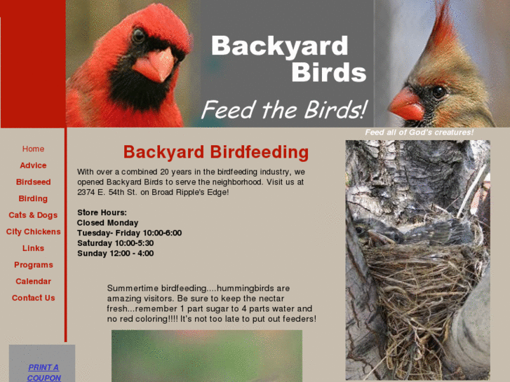 www.feedbackyardbirds.com