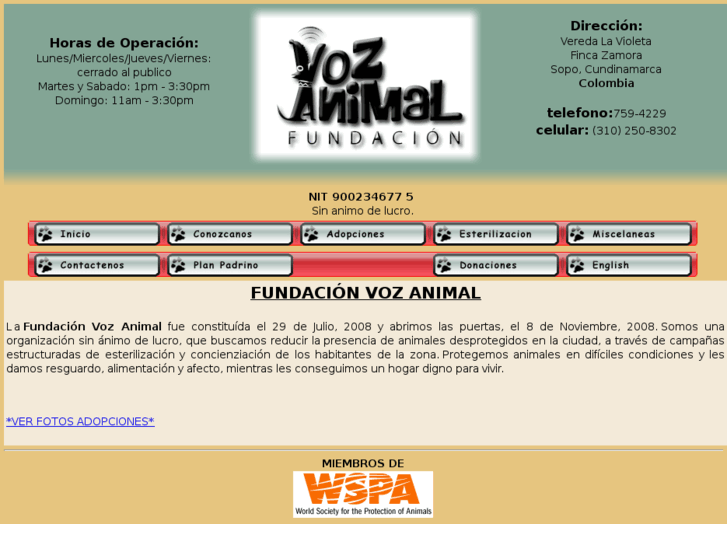 www.fundacionvozanimal.org