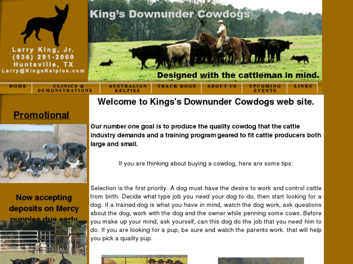 www.kingskelpies.com