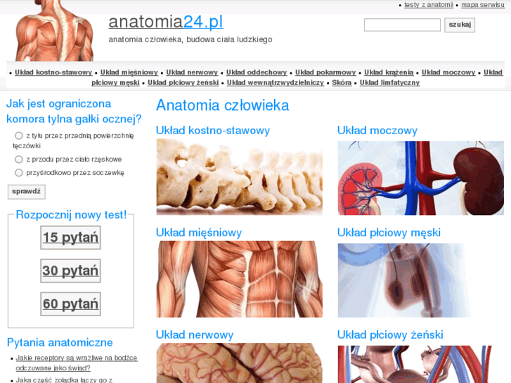 www.anatomia24.pl