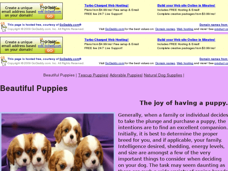 www.beautifulpuppies.org