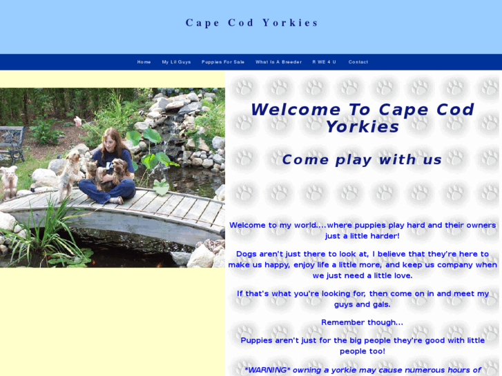 www.capecodyorkies.com