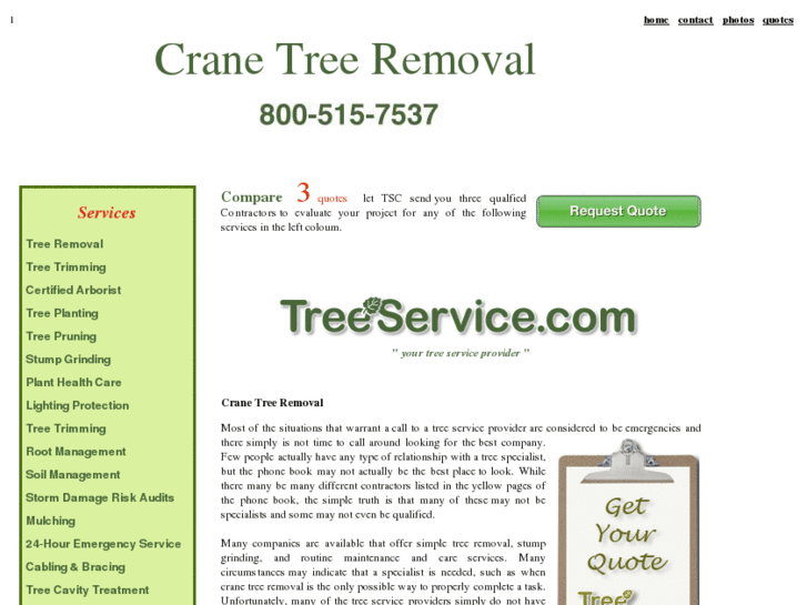 www.cranetreeremoval.com