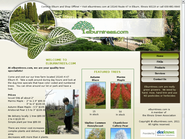 www.elburntrees.com