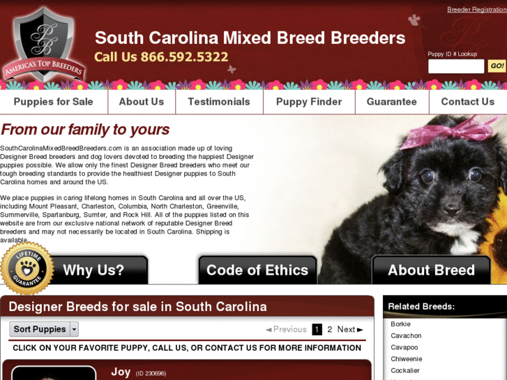 www.southcarolinamixedbreedbreeders.com