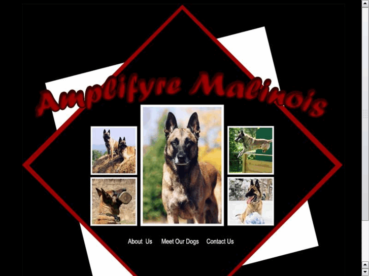 www.amplifyremalinois.com