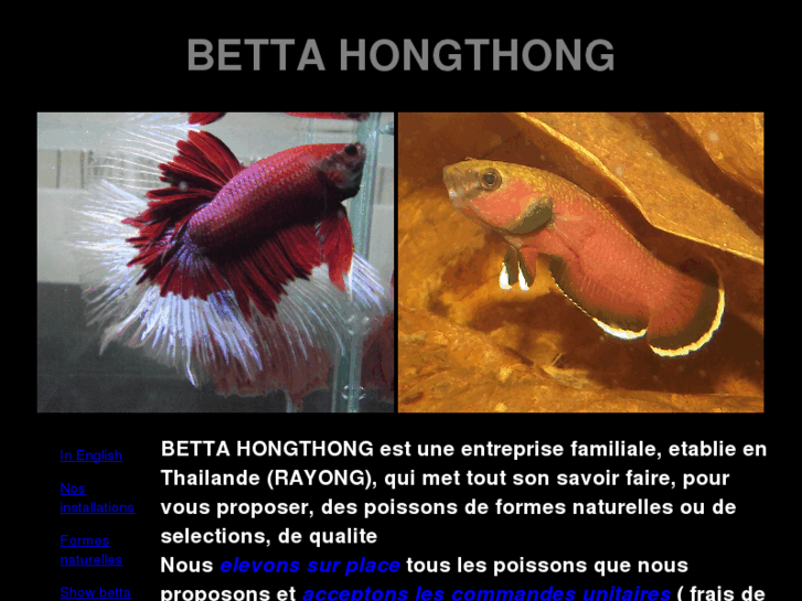 www.bettahongthong.com