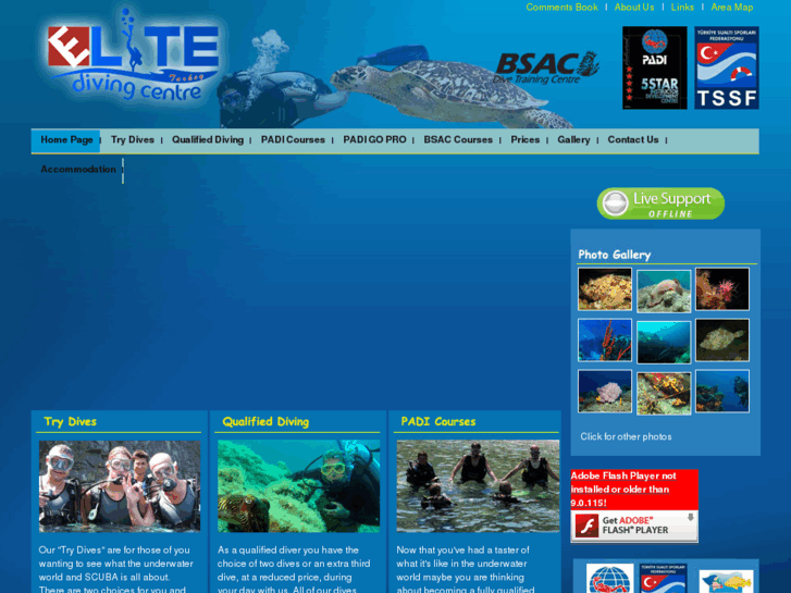 www.elitedivingacademy.com