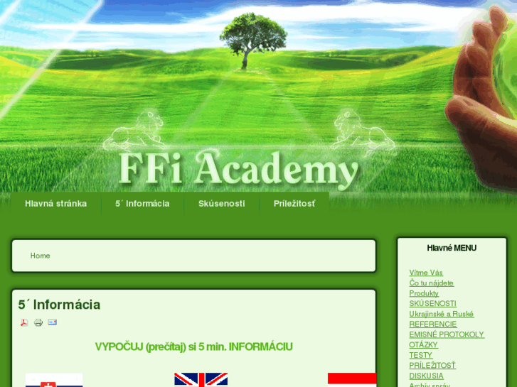 www.ffiacademy.com