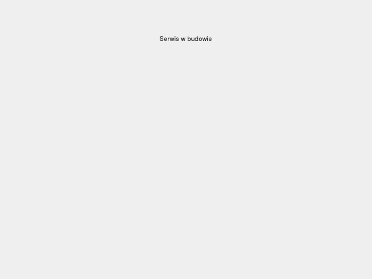 www.przetlumacz.net