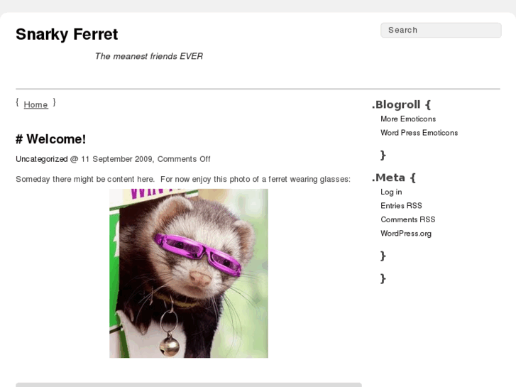 www.snarkyferret.com