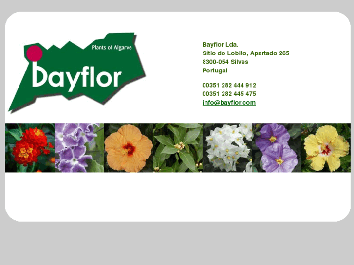 www.bayflor.com