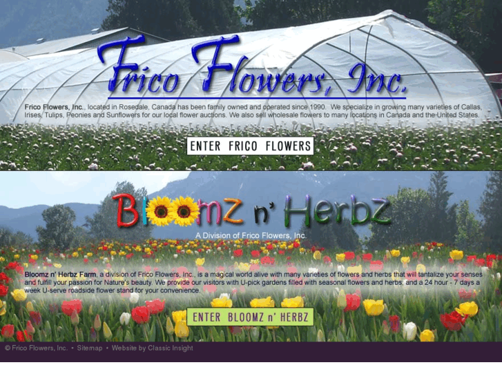 www.bloomsandherbs.com