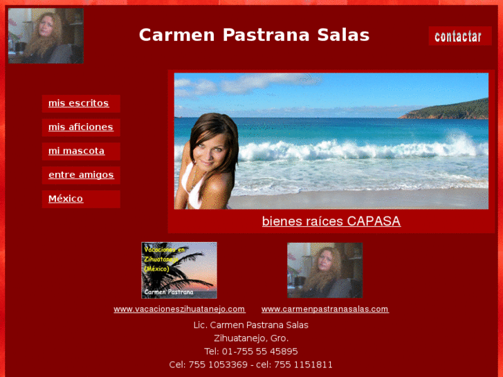 www.carmenpastranasalas.com